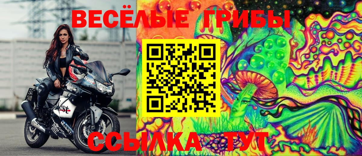 Галлюциногенные грибы Magic Shrooms Ефремов