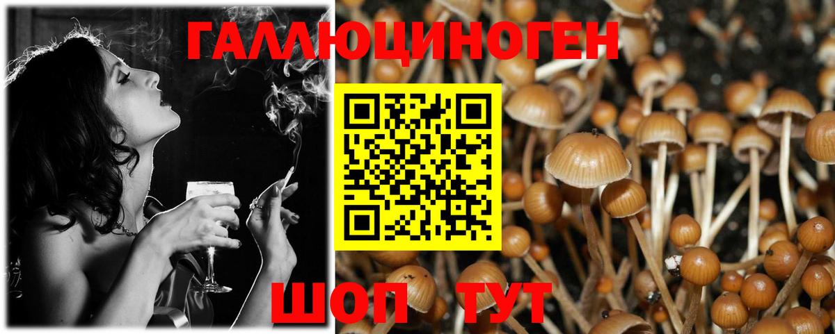 Галлюциногенные грибы Psilocybine cubensis  Вход с VPN  Ефремов 