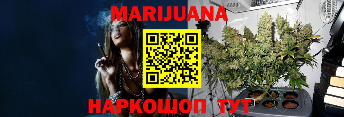 Бошки Шишки гибрид Ефремов